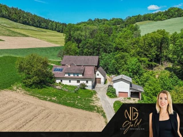 Bauernhaus kaufen in Hochneukirchen-Gschaidt, Niederösterreich