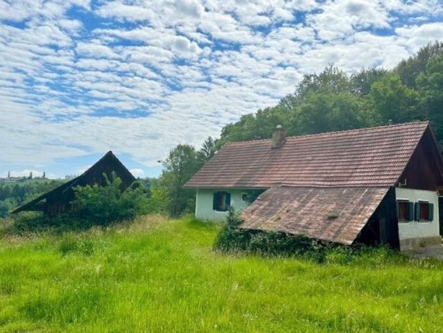 Bauernhaus kaufen in Gamlitz, Steiermark