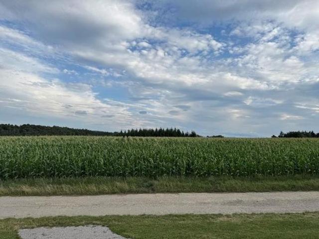 Bauernhaus kaufen in Asperhofen, Niederösterreich