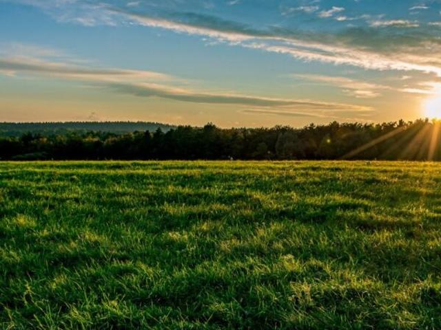 Bauernhaus kaufen in Neunkirchen, Niederösterreich