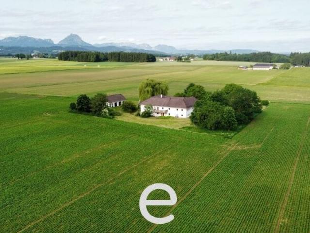 Haus kaufen in Pettenbach, Oberösterreich