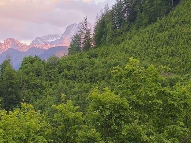 Bauernhaus kaufen in Altenmarkt bei St. Gallen, Steiermark