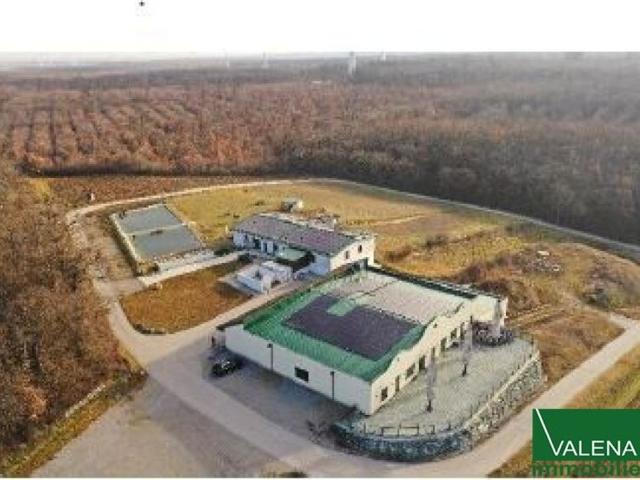 Bauernhaus kaufen in Groß Schweinbarth, Niederösterreich