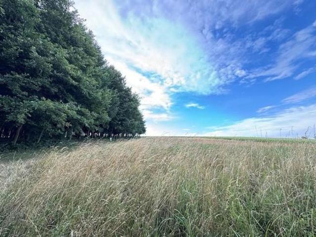 Bauernhaus kaufen in Asperhofen, Niederösterreich