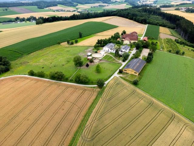 Bauernhaus kaufen in Gunskirchen, Oberösterreich