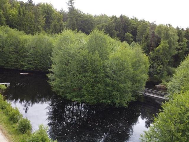 Bauernhaus kaufen in Haugschlag, Niederösterreich