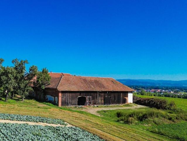 Bauernhaus kaufen in Scharten, Oberösterreich