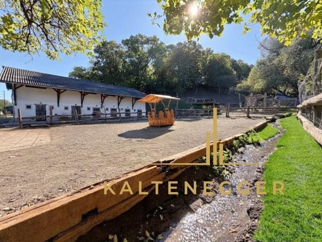 Bauernhaus kaufen in Kritzendorf, Klosterneuburg