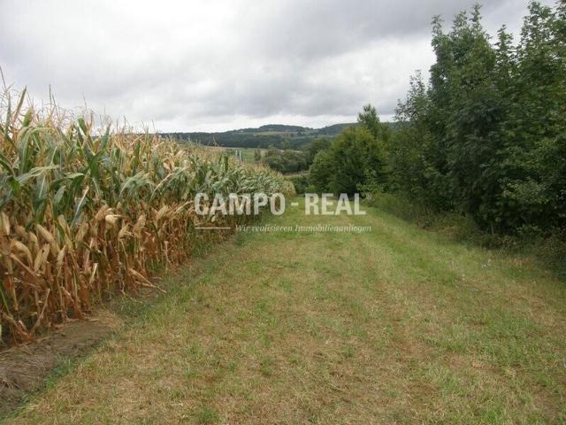 Bauernhaus kaufen in Maria Anzbach, Niederösterreich