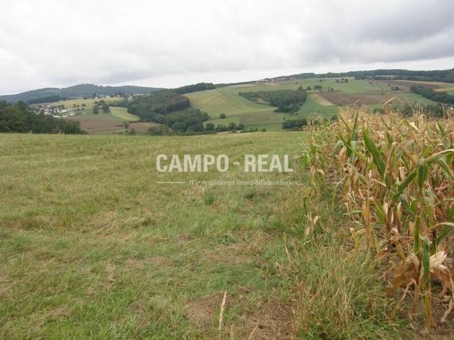 Bauernhaus kaufen in Maria Anzbach, Niederösterreich