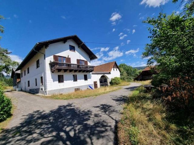 Bauernhaus kaufen in Pöllau, Steiermark