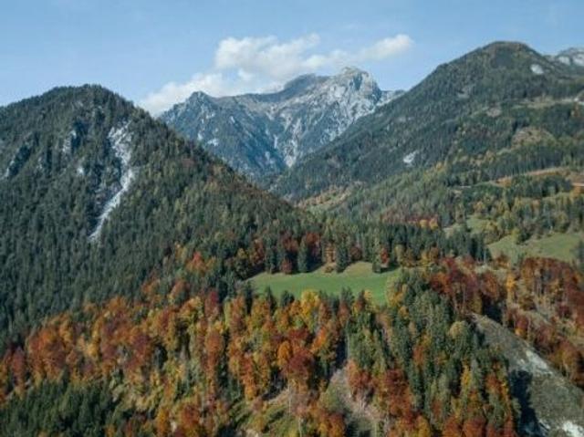 Bauernhaus kaufen in St. Veit an der Glan, Kärnten