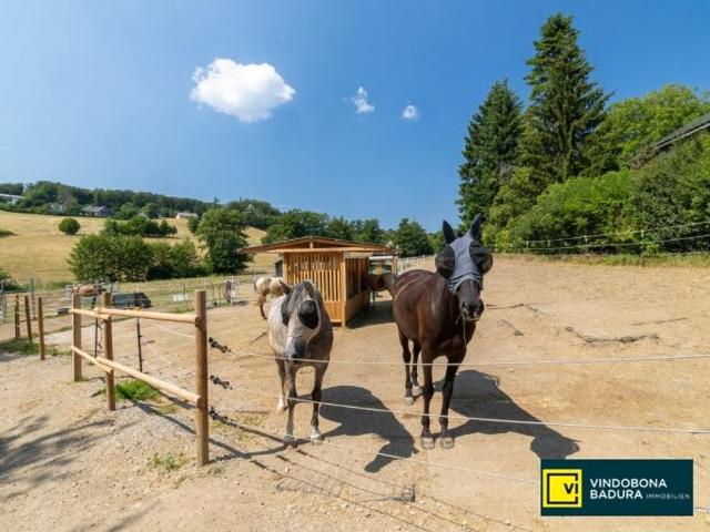 Bauernhaus kaufen in Wienerwald, Niederösterreich