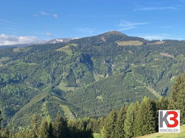Bauernhaus kaufen in St. Johann im Pongau, Kärnten