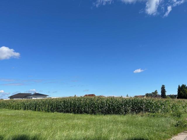 Immobilie kaufen in Ströblberg, Gunskirchen