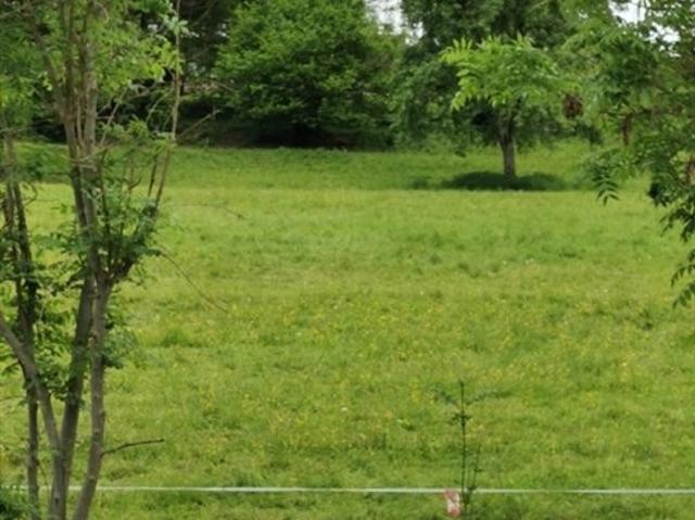 Grundstück kaufen in Rosegg, Kärnten