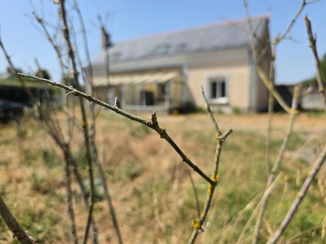 Maison vente à Saumur, Cheviré-le-rouge