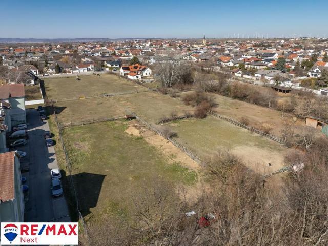 Grundstück kaufen in Gols, Burgenland