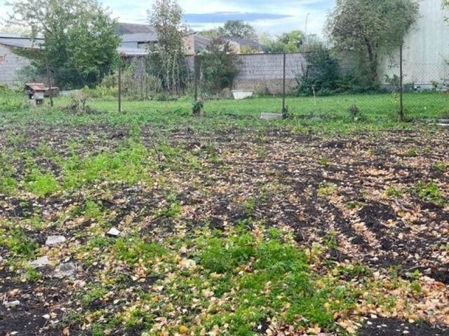 Grundstück kaufen in Gols, Burgenland