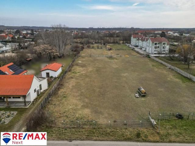 Grundstück kaufen in Gols, Burgenland