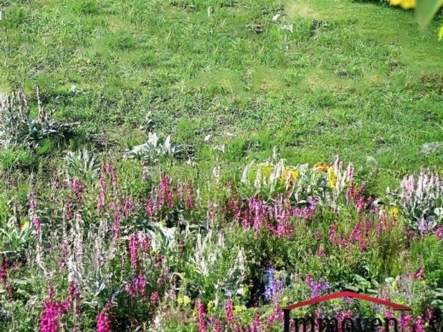 Grundstück kaufen in Gersdorf-Feistritz, Steiermark
