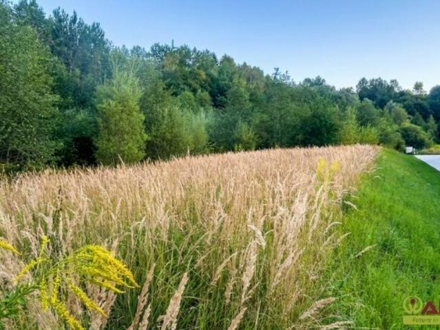 Grundstück kaufen in Langenwang, Steiermark