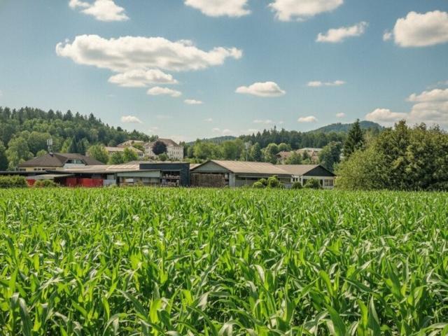 Grundstück kaufen in Klagenfurt, Kärnten