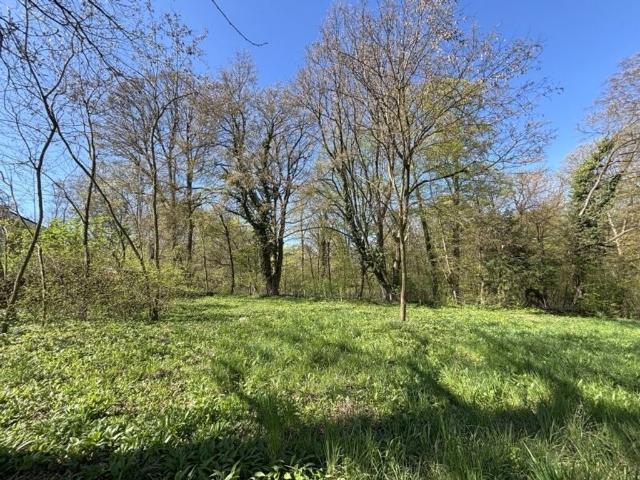 Grundstück kaufen in Klosterneuburg, Niederösterreich