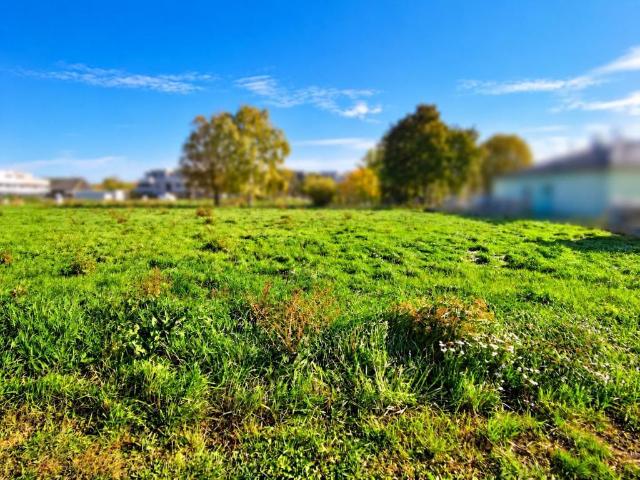 Grundstück kaufen in Leobendorf, Bezirk Korneuburg