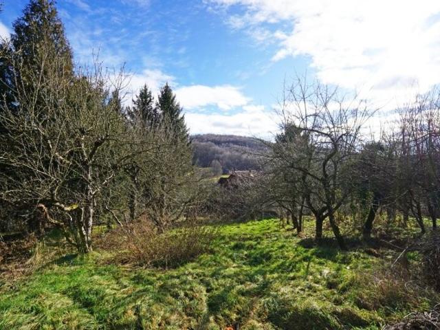 Grundstück kaufen in Mauerbach, Niederösterreich