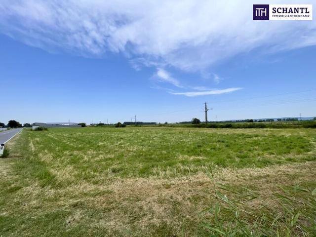 Grundstück kaufen in Mitterndorf an der Fischa, Niederösterreich