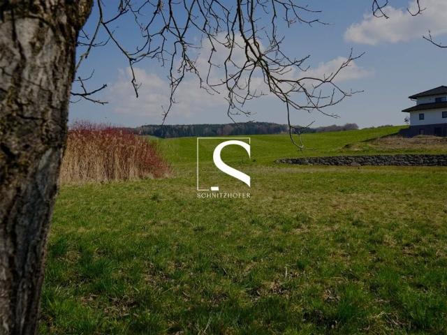 Grundstück kaufen in Moosdorf, Oberösterreich
