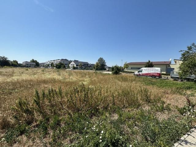 Grundstück kaufen in Neusiedl am See, Burgenland