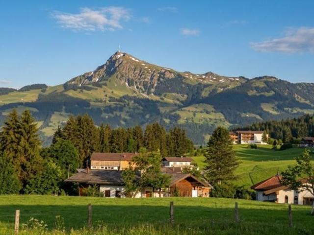 Grundstück kaufen in Kirchberg in Tirol, Bezirk Kitzbühel