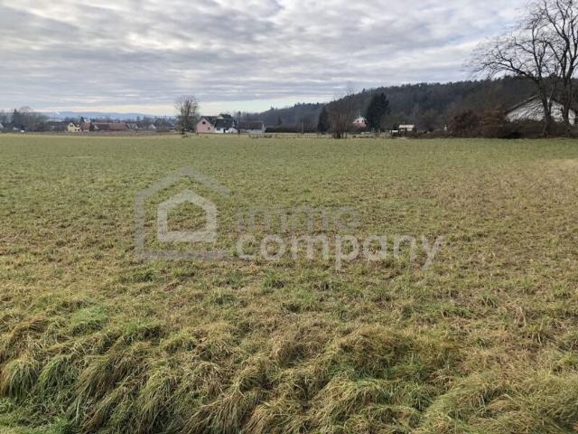 Grundstück kaufen in Jennersdorf, Burgenland