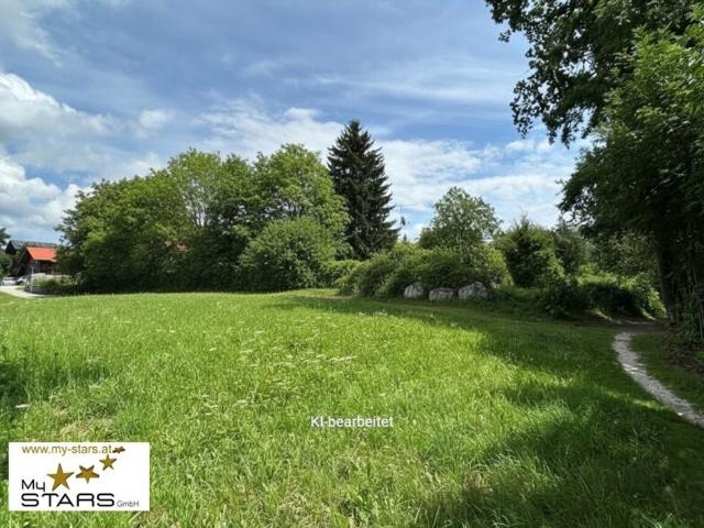 Grundstück kaufen in Ried im Innkreis, Oberösterreich