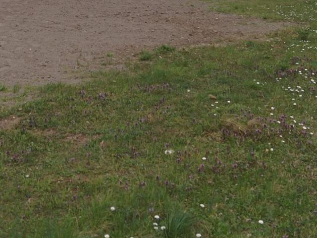Grundstück kaufen in Seyring, Gerasdorf