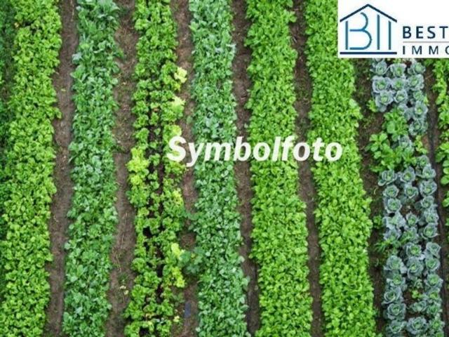 Grundstück kaufen in Sinabelkirchen, Steiermark