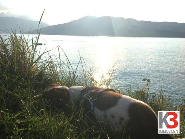 Grundstück kaufen in Steinbach am Attersee, Oberösterreich