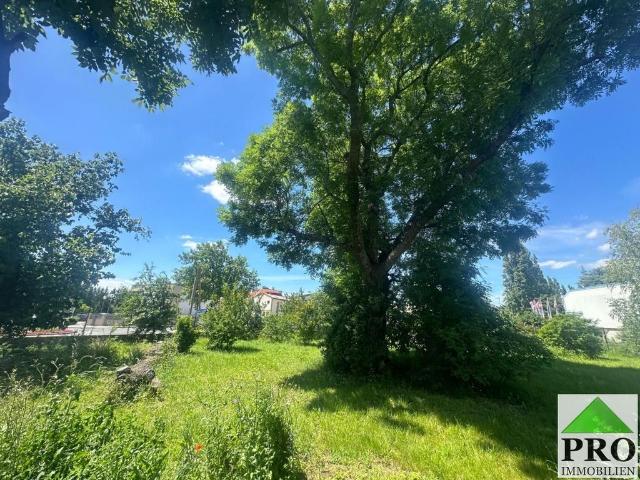 Grundstück kaufen in Katastralgemeinde Traiskirchen, Traiskirchen