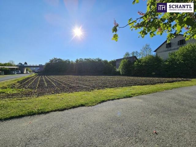 Grundstück kaufen in Stainz, Steiermark