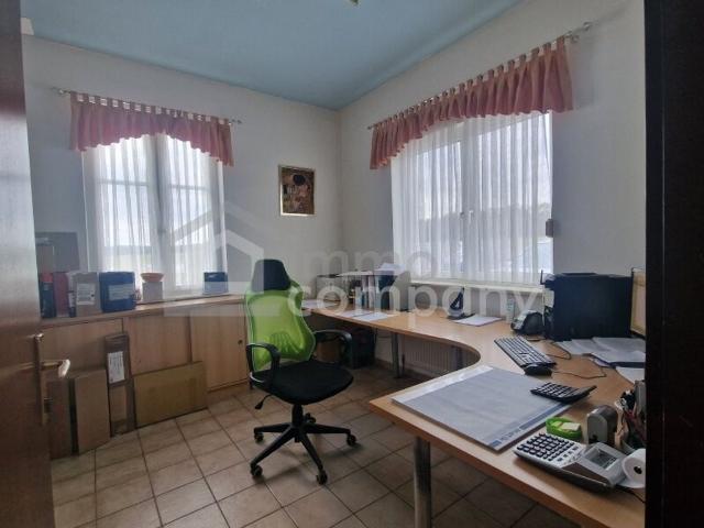 Grundstück kaufen in Unterfrauenhaid, Burgenland