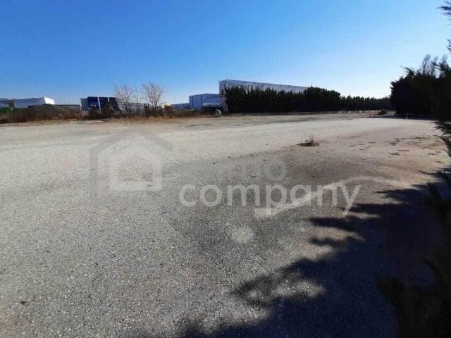 Grundstück kaufen in Großhöflein, Burgenland