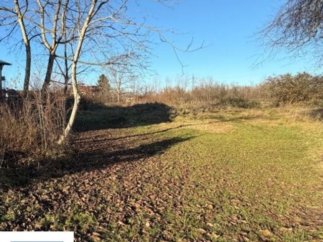 Grundstück kaufen in Wals-Siezenheim, Salzburg