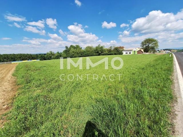 Grundstück kaufen in Zeillern, Niederösterreich