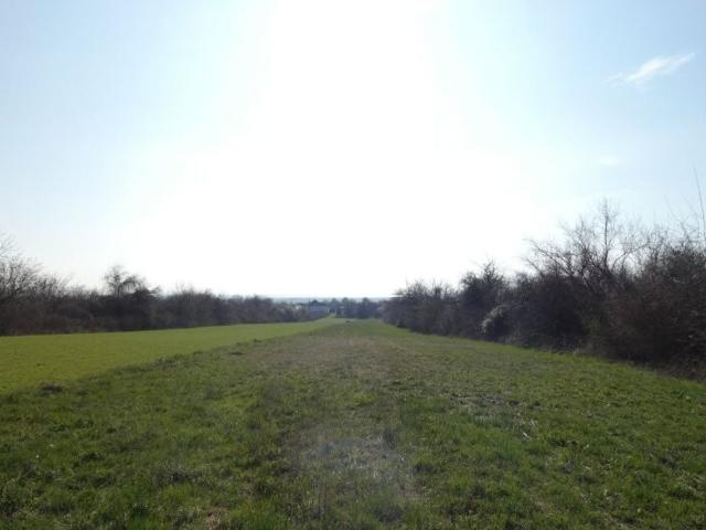 Grundstück kaufen in Breitenbrunn am Neusiedler See, Burgenland