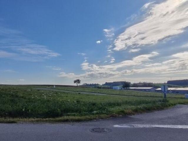 Grundstück kaufen in Buchkirchen, Bezirk Wels-Land