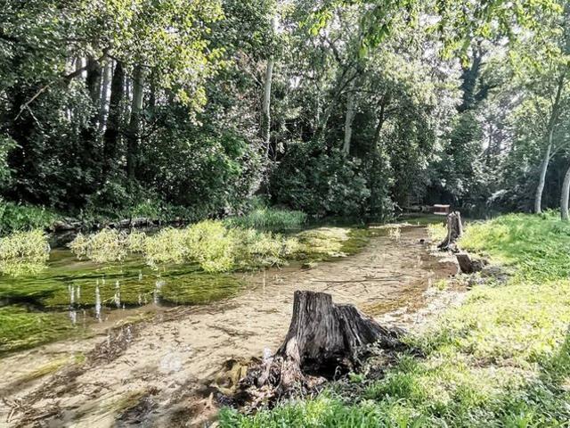 Grundstück kaufen in Ebenfurth, Niederösterreich