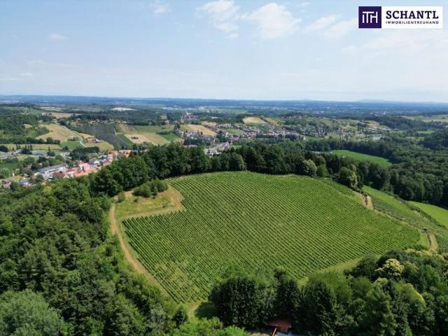 Grundstück kaufen in Gamlitz, Steiermark
