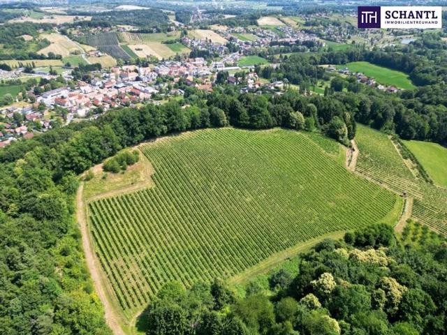 Grundstück kaufen in Gamlitz, Steiermark